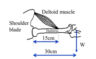 Figure for Question 202