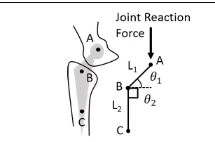 Figure for Question 199