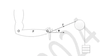 Figure for Question 196
