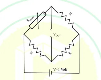 Figure for Question 75