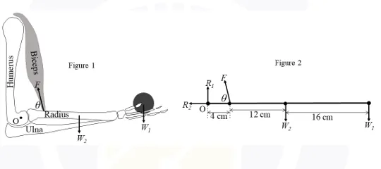 Figure for Question 185